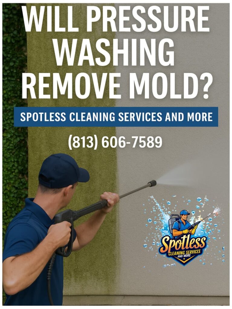 will pressure washing remove mold