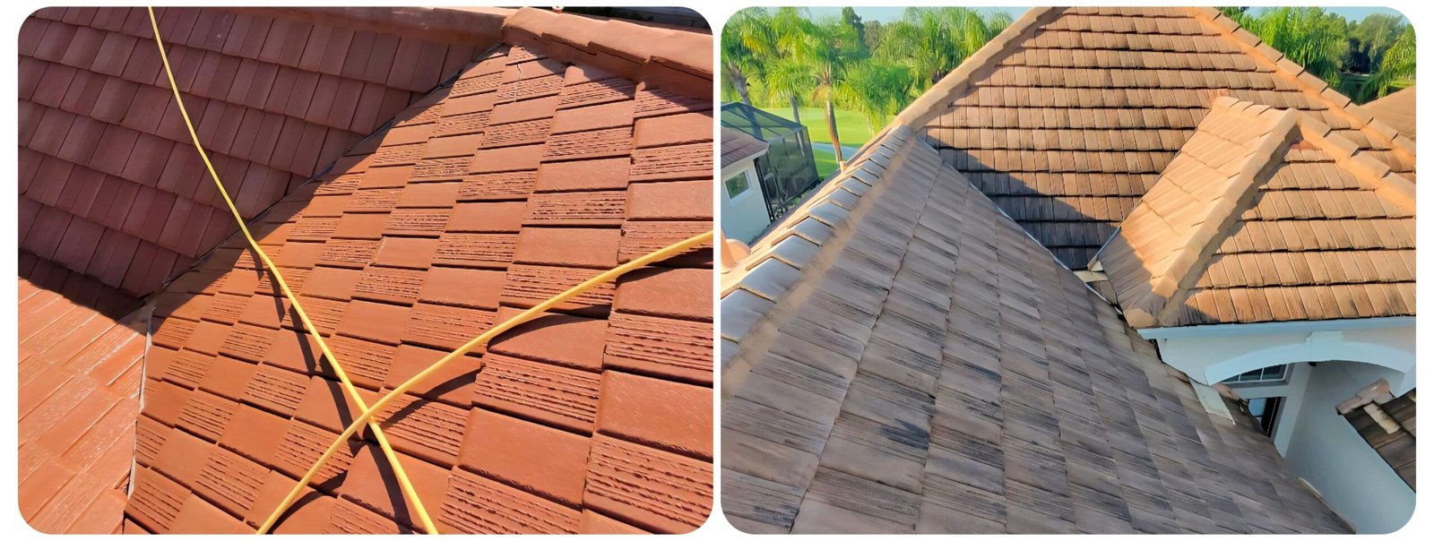 Professional low-pressure soft washing being used to clean a roof
