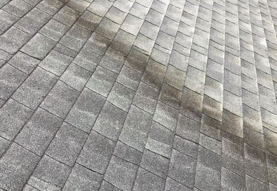 how soft washing protects your roof from algae damage