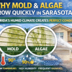why-mold-and-algae-grow-quickly-in-sarasota-pressure-washing-near-me-sarasota-bradenton-palmetto-parrish-ellenton