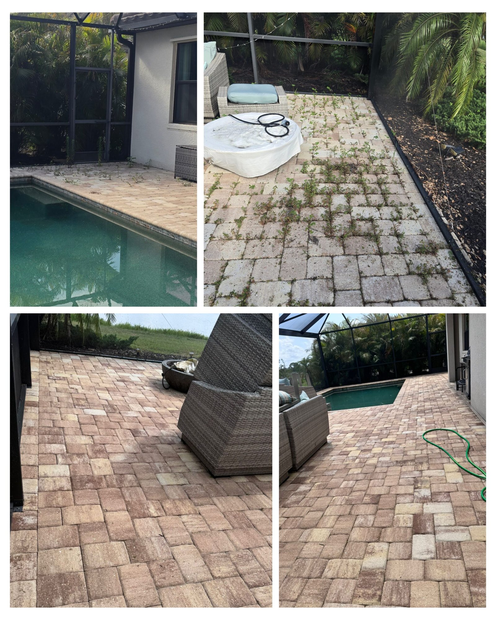 Pool deck paver cleaning with weed removal between joints